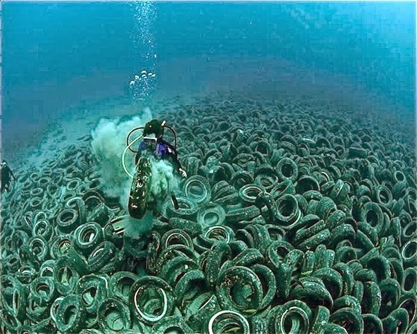Resultado de imagen para imagen de la contaminacion marina