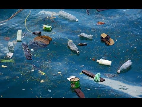 Resultado de imagen para imagen de la contaminacion marina